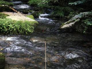 Reel Fishing online multiplayer - psx