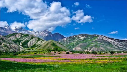 Şeytan ve Peygamberimizin Konusması