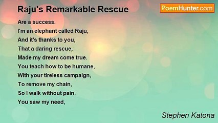 Stephen Katona - Raju's Remarkable Rescue