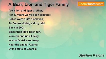 Stephen Katona - A Bear, Lion and Tiger Family
