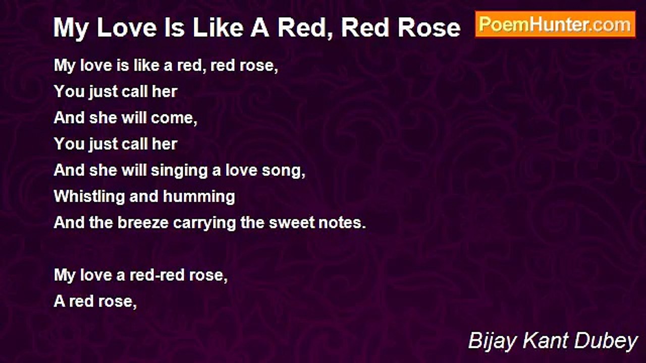 Bijay Kant Dubey - My Love Is Like A Red, Red Rose