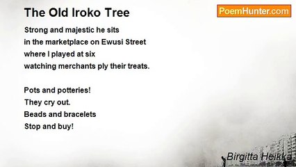 Birgitta Heikka - The Old Iroko Tree