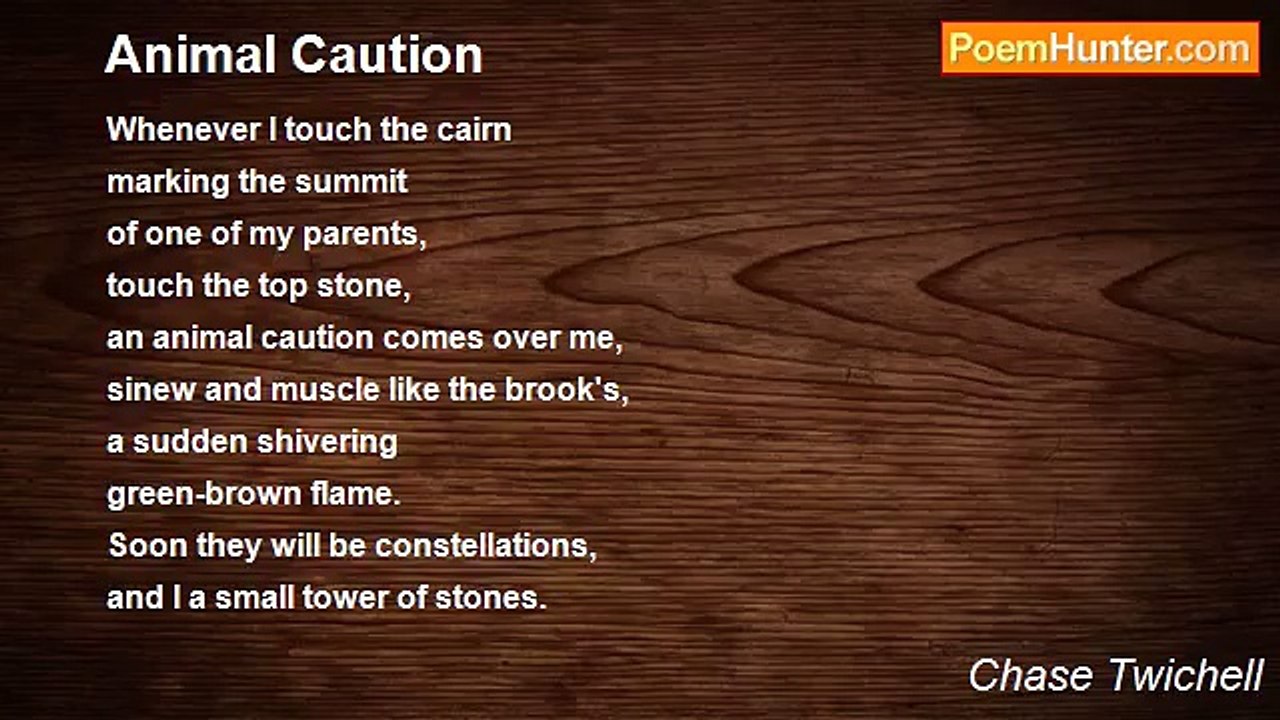 Chase Twichell - Animal Caution