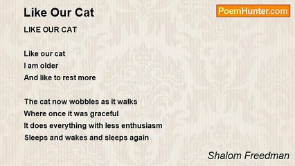 Shalom Freedman - Like Our Cat