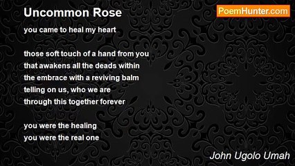 John Ugolo Umah - Uncommon Rose