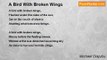 Michael Olajubu - A Bird With Broken Wings