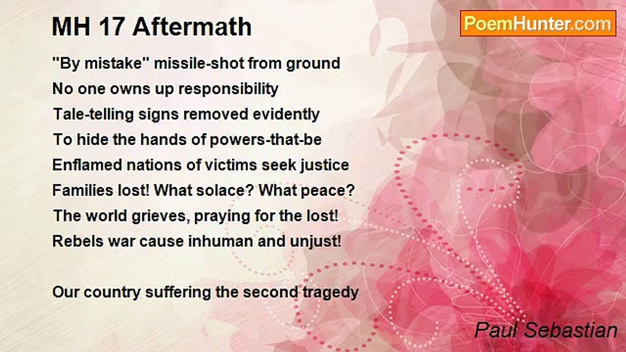 Paul Sebastian - MH 17 Aftermath