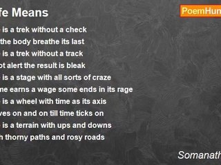 Somanathan Iyer - Life Means