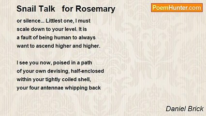 Daniel Brick - Snail Talk   for Rosemary