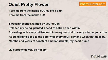 White Lily - Quiet Pretty Flower
