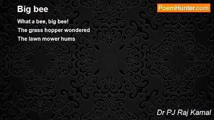 Dr PJ Raj Kamal - Big bee