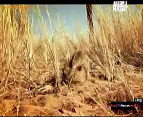 Natural Born Hunters 29th October 2014 Video Watch Online Pt1