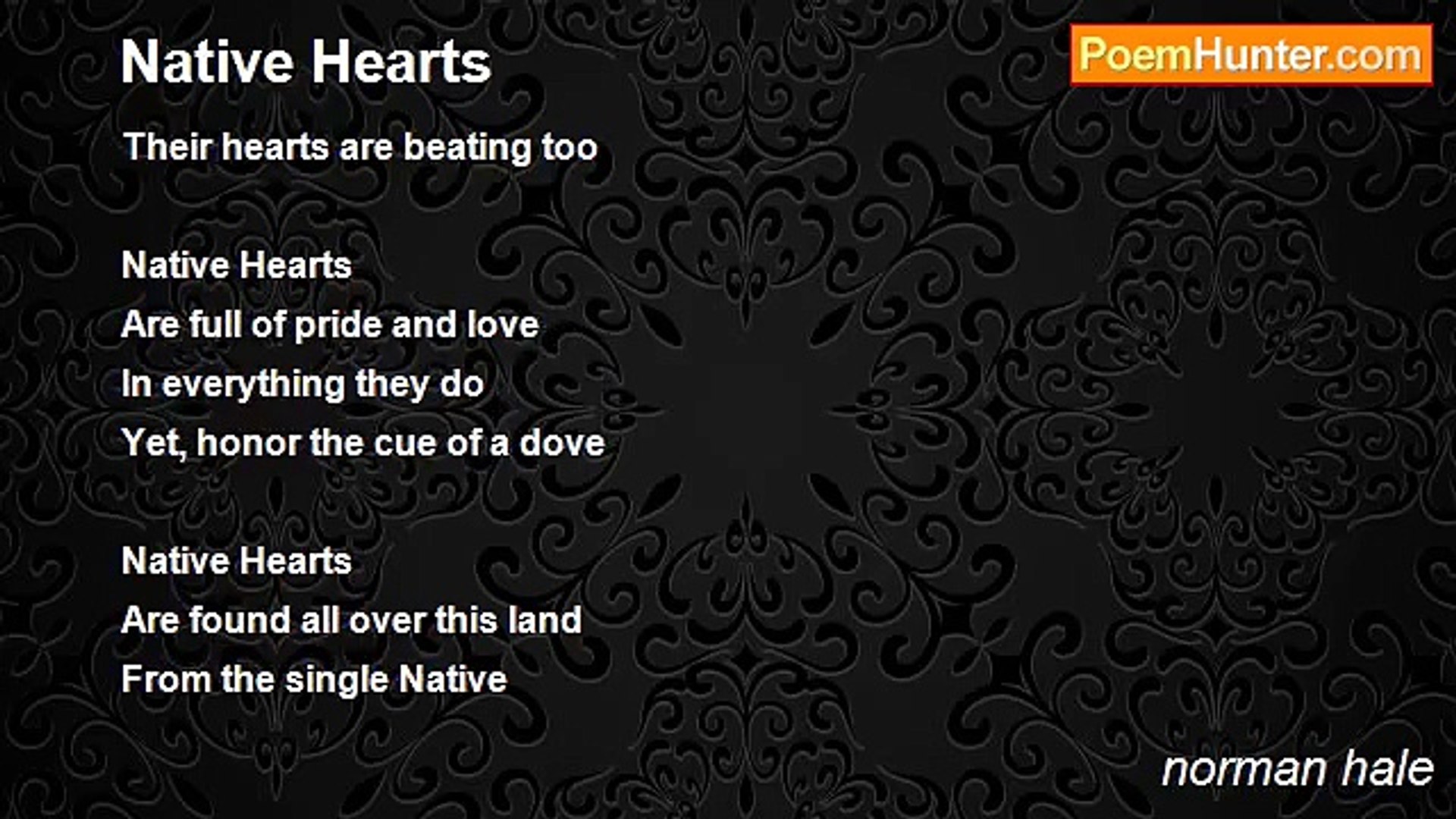 ⁣norman hale - Native Hearts