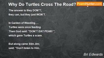 Bri Edwards - Why Do Turtles Cross The Road? ......  [CHALLENGE TITLE for August; temptation; kind of SHORT; God]