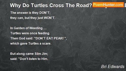 Bri Edwards - Why Do Turtles Cross The Road? ......  [CHALLENGE TITLE for August; temptation; kind of SHORT; God]