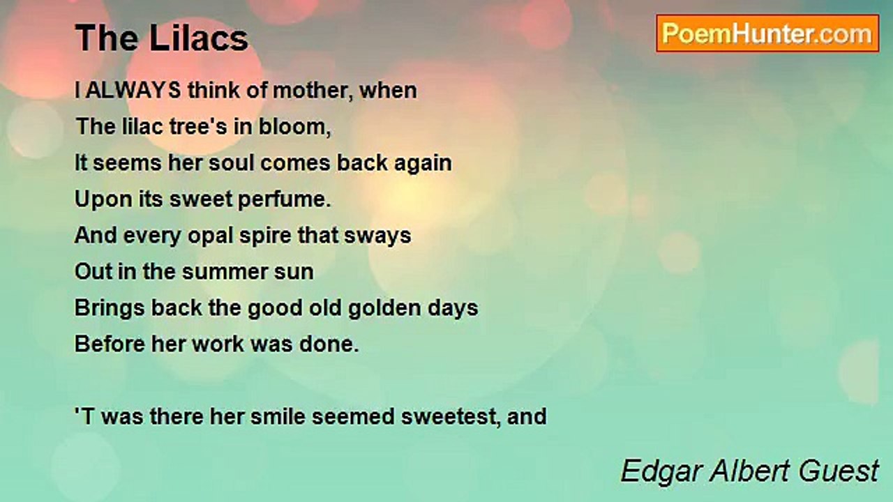 Edgar Albert Guest - The Lilacs