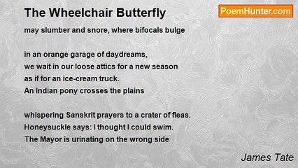 James Tate - The Wheelchair Butterfly