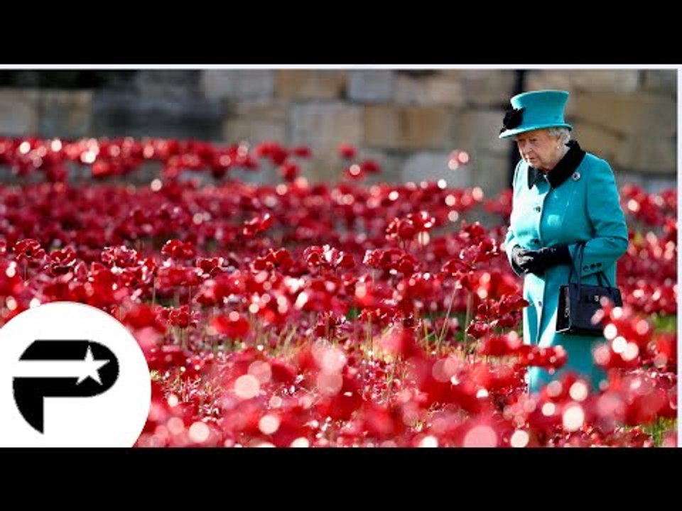 Elizabeth II 'impressionnée' par la mer de coquelicots