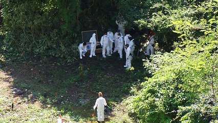 “Miles de investigadores” buscan a estudiantes