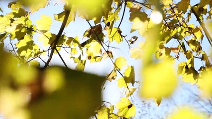 Home winterizing tips