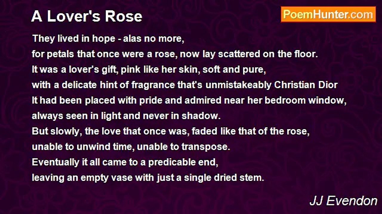 JJ Evendon - A Lover's Rose