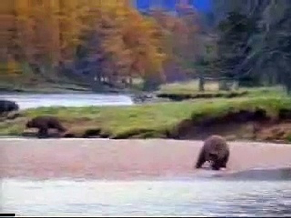 Hangisi Ayı :)