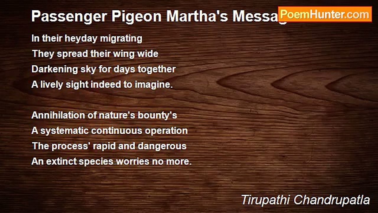 Tirupathi Chandrupatla - Passenger Pigeon Martha's Message