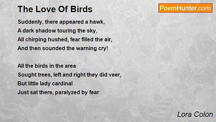 Lora Colon - The Love Of Birds
