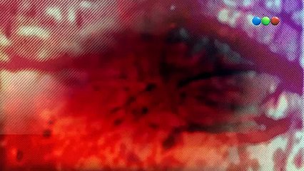 CAMINO AL AMOR - Capítulo 89