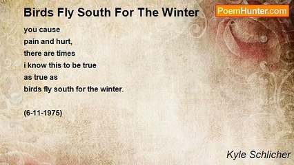 Kyle Schlicher - Birds Fly South For The Winter