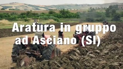 Antika Traktörler İle Zorlu Çift Mücadelesi - Tarım Günlükleri