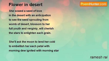 ramesh rai - Flower in desert