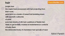 Nikhil Parekh - hair