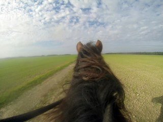 29.10.2014.breviaires.zb