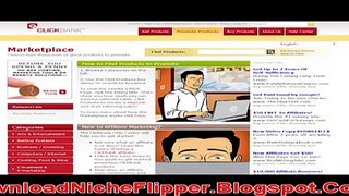 Niche Flipper Review 2
