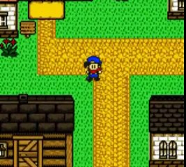 Harvest Moon 2 GBC online multiplayer - gbc