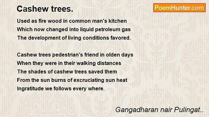 Gangadharan nair Pulingat.. - Cashew trees.