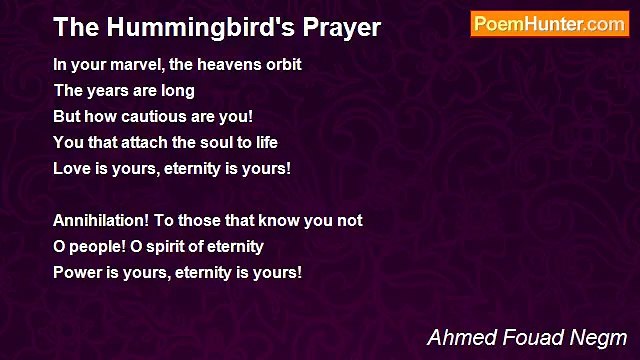 Ahmed Fouad Negm - The Hummingbird's Prayer