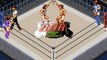 Super Fire Pro Wrestling: Queen's Special online multiplayer - snes