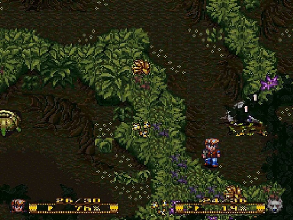 Secret of Evermore online multiplayer - snes