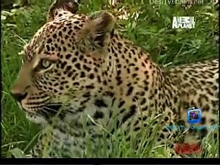 Be The Creature 29th October 2014 Video Watch Online pt2