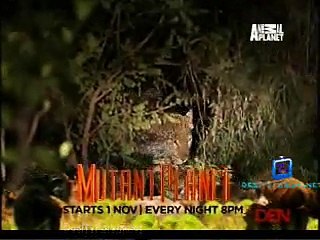 Be The Creature 29th October 2014 Video Watch Online pt3