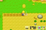 Harvest Moon: More Friends of Mineral Town online multiplayer - gba