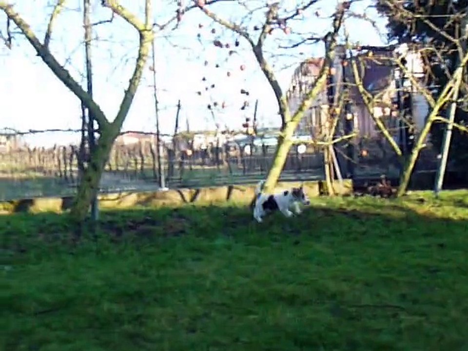 Course poursuite Gengis VS Gyver en 2012