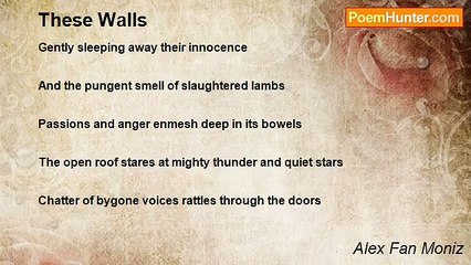 Alex Fan Moniz - These Walls