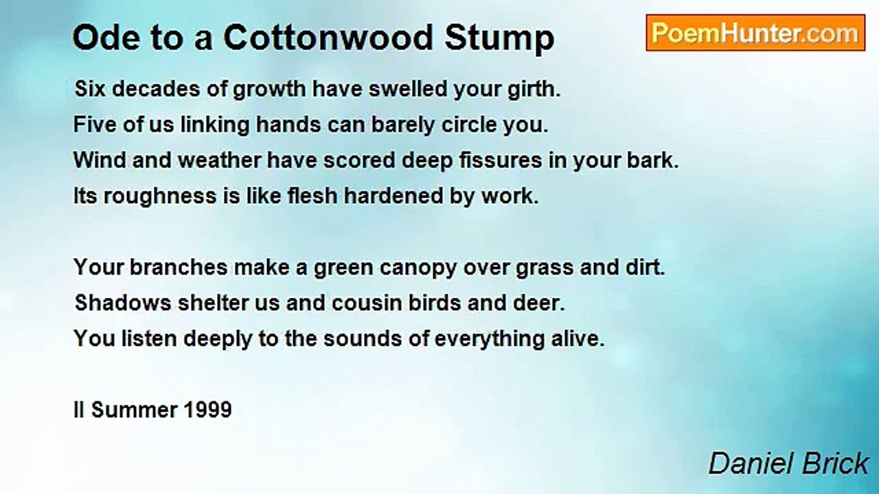 Daniel Brick - Ode to a Cottonwood Stump