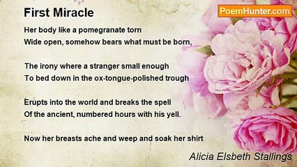 Alicia Elsbeth Stallings - First Miracle