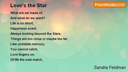 Sandra Feldman - Love's the Star
