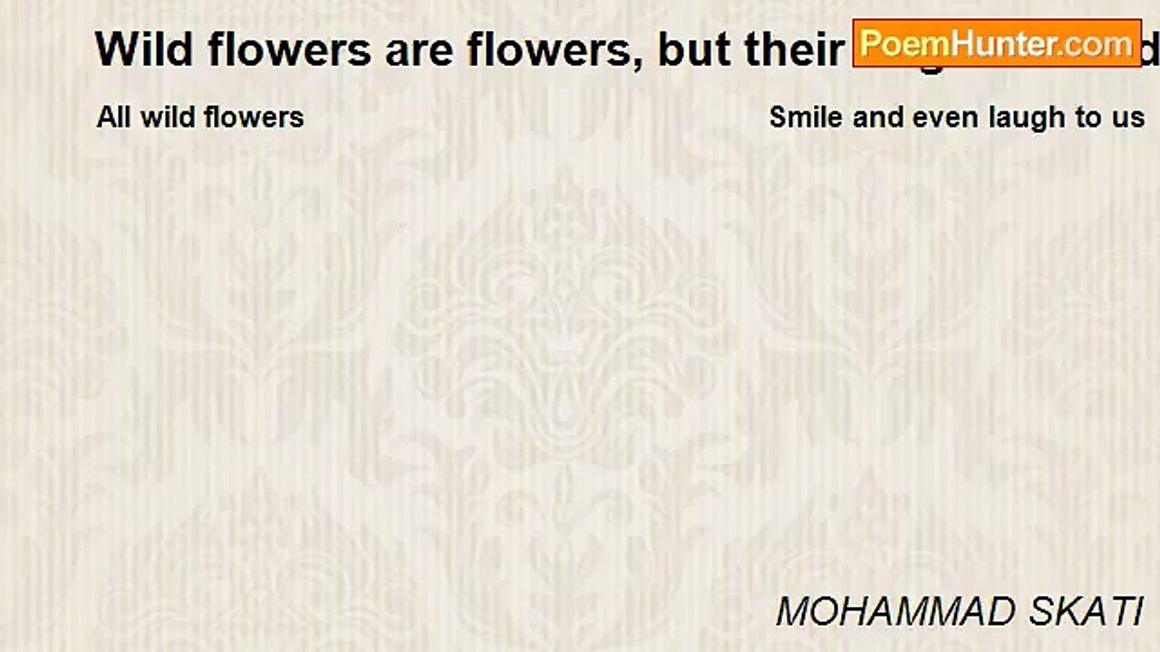 MOHAMMAD SKATI - Wild flowers are flowers, but their fragrance is different