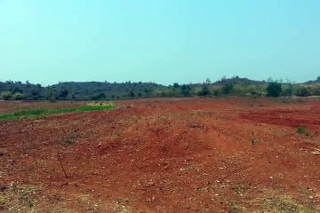 SVN Estate: Mago Farm